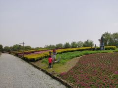 -梁鸿国家湿地公园