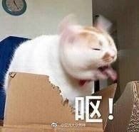 -85度C(南京张府园店)