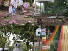 -上海鲜花港