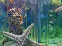 -太平洋海底世界