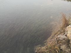 -淇河国家湿地公园