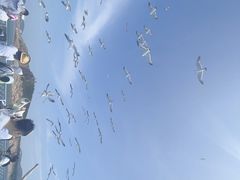 -海驴岛(荣成市)