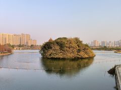 -三垟湿地