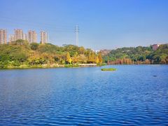 -重庆彩云湖湿地公园