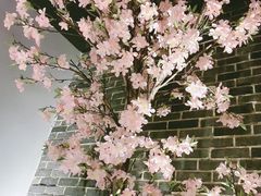 -野妹经典火锅(江夏中百店)
