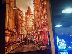 -Efes Turkish & Mediterranean Cuisine 艾菲斯餐厅(陆家嘴店)