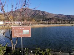 景点-十三陵水库