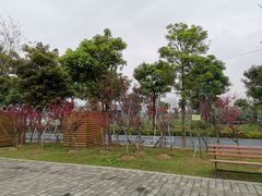 -琅岐红光湖公园