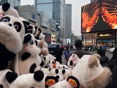 -蜀大侠火锅(总府路店)