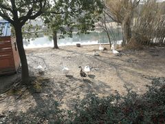 -同济大学(嘉定校区)