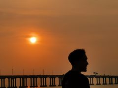 -宝安西湾红树林湿地公园