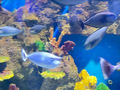 -石林冰雪海洋世界