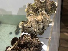 -海盗餐厅