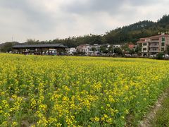 -红山村