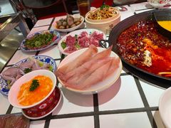 -朱光玉火锅馆(正弘城店)