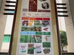 -广州神农草堂中医药博物馆