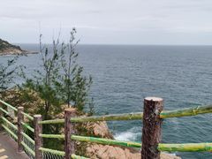 -广东惠东海龟国家级自然保护区