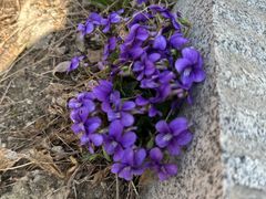 -沈阳辉山风景区