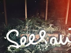 -Seesaw Coffee(朝阳大悦城店)