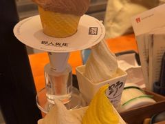 -野人先生Gelato(上海长宁龙之梦店)