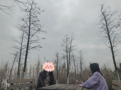 -瑶湖郊野森林公园