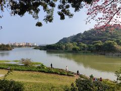 -风云岭森林公园