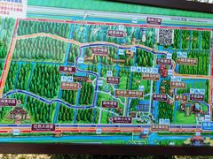 -黄海国家森林公园