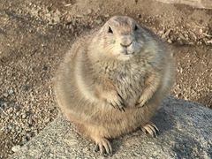 -祥源·阜阳生态乐园