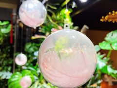 -森味薪火烧•烧鸟居酒屋•日本料理(望京店)