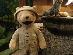 -济州岛泰迪熊博物馆