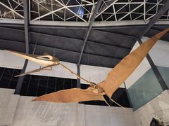 -湖南省地质博物馆