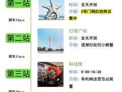 -日照海滨国家森林公园