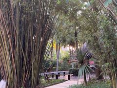 -三亚湾海居铂尔曼度假酒店