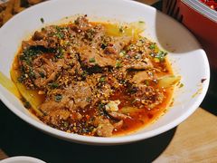-向川南·水煮鱼·川菜(和平里店)