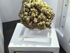 -中国地质大学逸夫博物馆