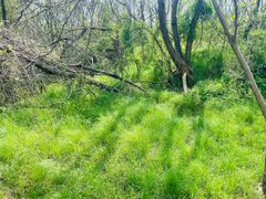 -盘龙城国家考古遗址公园