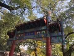 -北京国子监胡同