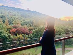 -上海佘山世茂艾美酒店