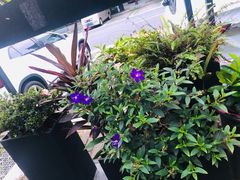 -坂田手造文化街