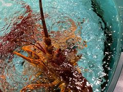 -西贝海鲜汇(槐安路店)