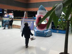 -SFC上影影城(杭州下沙IMAX店)