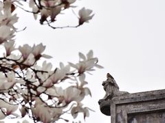 -龙华寺