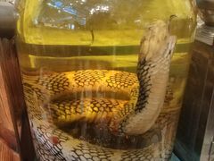 蛇酒-龙桥私厨·姜花菊花过桥鱼·顺德菜(容桂店)