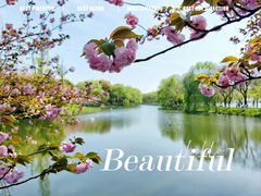 -阳澄湖费尔蒙酒店颐丰阁中餐厅(马鞍山西路店)