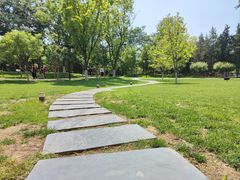 -西海子公园