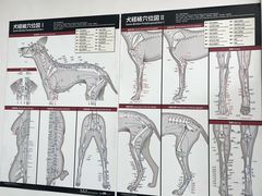 -派美特宠物医院·核磁CT·骨科肿瘤·疑难转诊(沈农禾丰店)