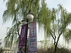 -西安青龙寺遗址景区
