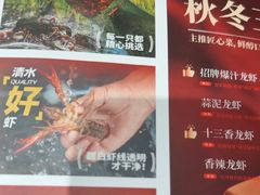 -杨氏青龙虾·羊蝎子(托乐嘉店)