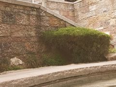 -西安华清御汤酒店