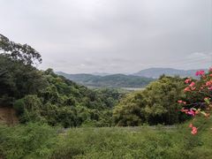 -广州市帽峰山景区